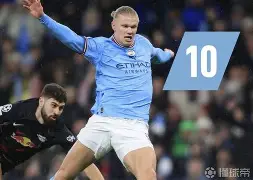 实况足球2019哈兰德在哪个队